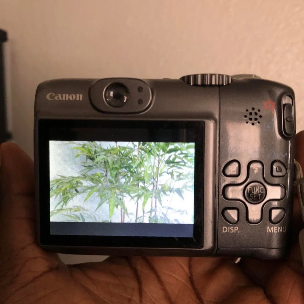 Canon PowerShot A590 IS 8 MP Digital Camera Gray Point and Shoot 4x Optical Zoom